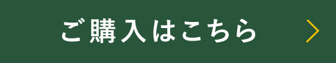 オンラインストア オープン記念